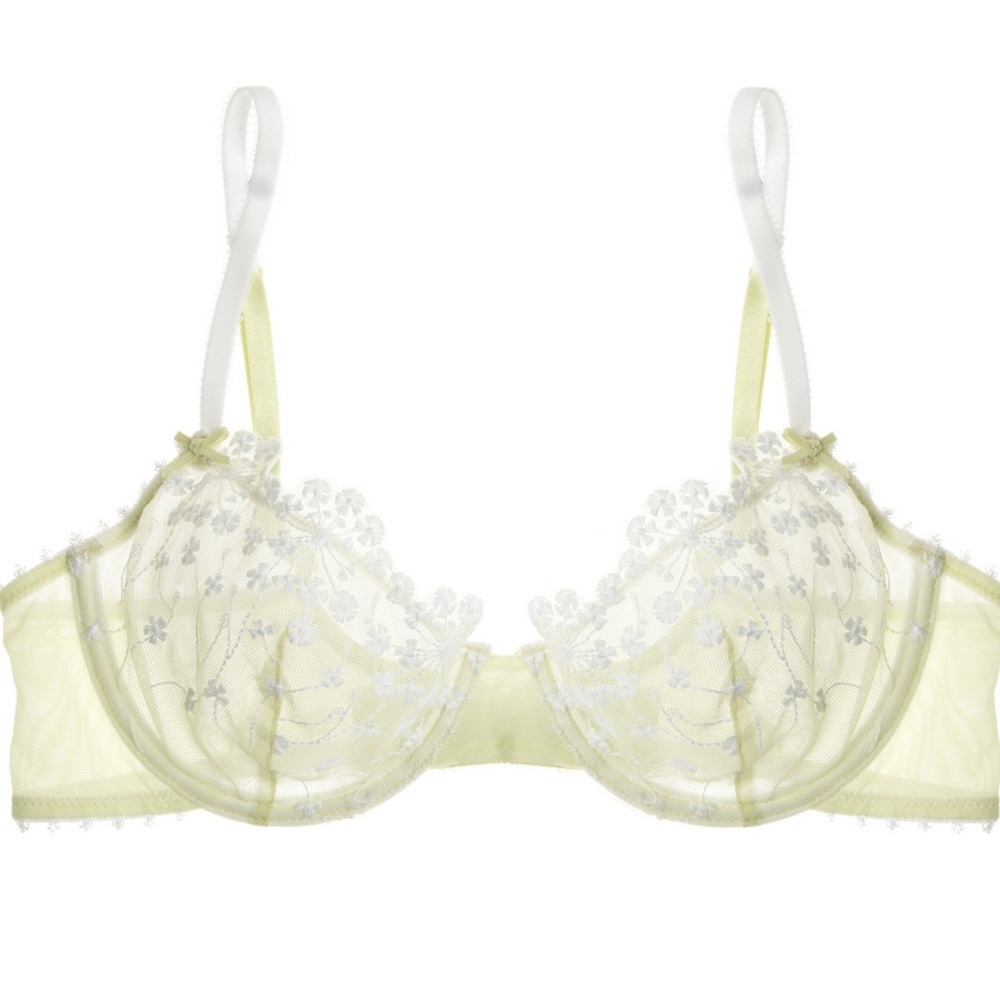 NWT Embroidered Mesh Bra